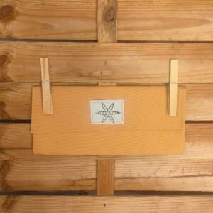 Novedades auto draft